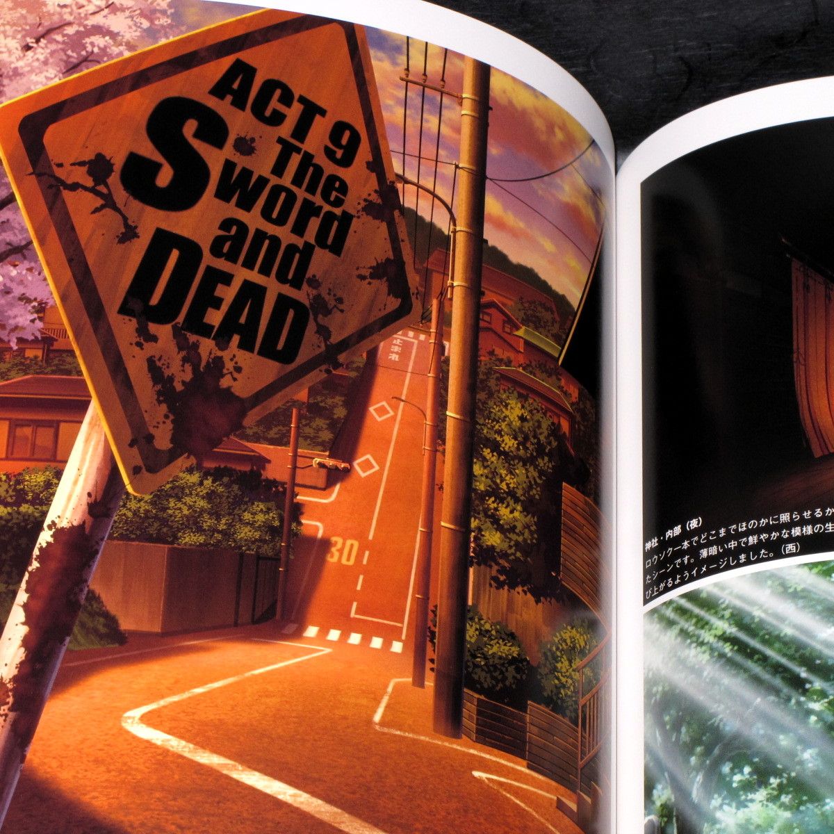 Kusanagi - Background Illustrations VII