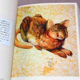 Shu Yamamoto - Cat Art