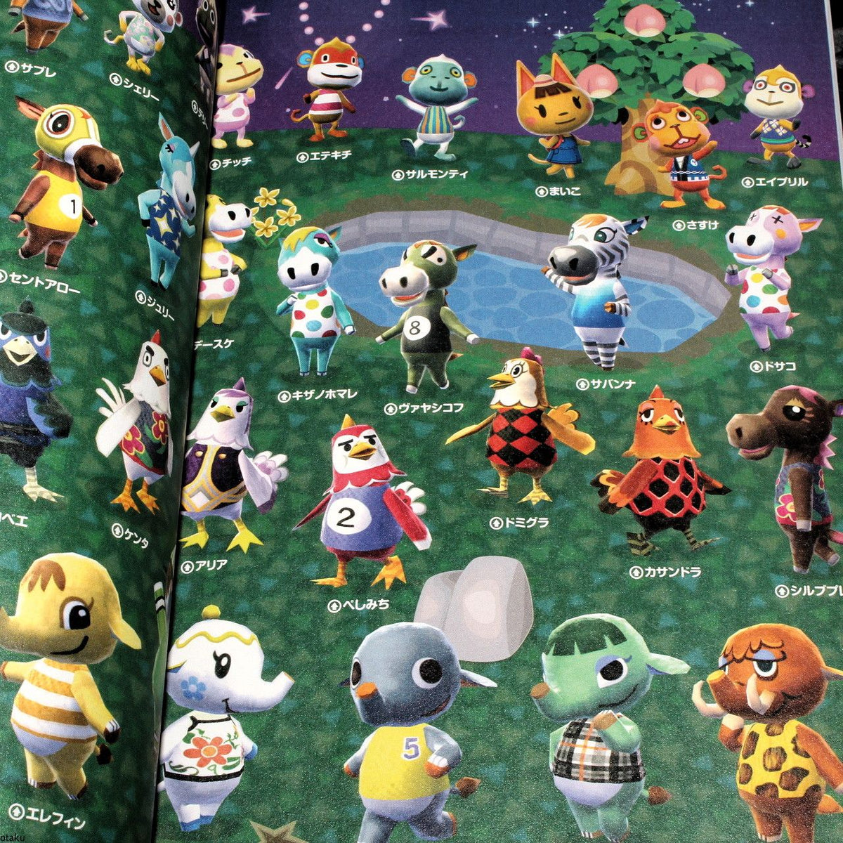 Animal Crossing Doubutsu No Mori Guide Book