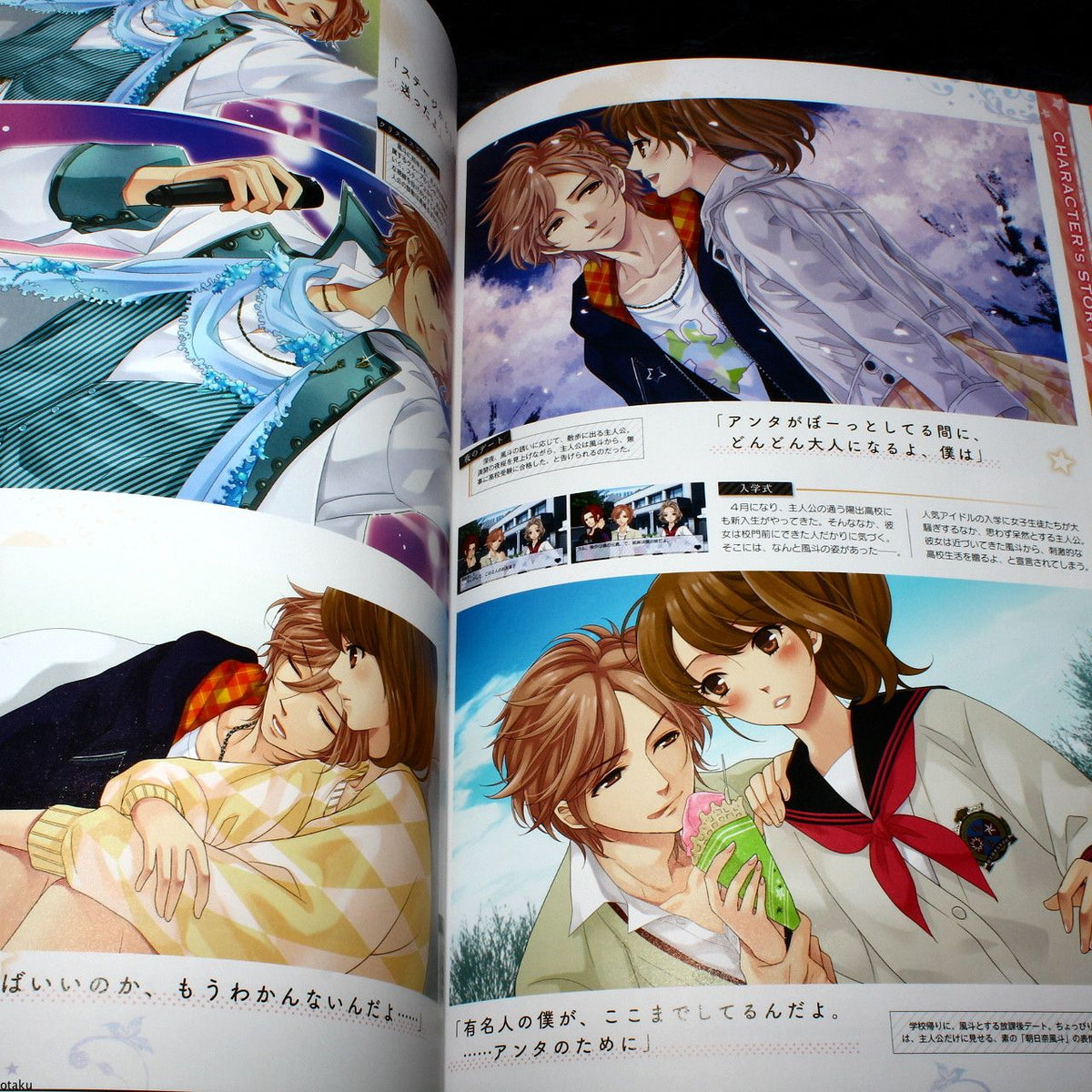 BROTHERS CONFLICT Passion Pink Official Visual Book