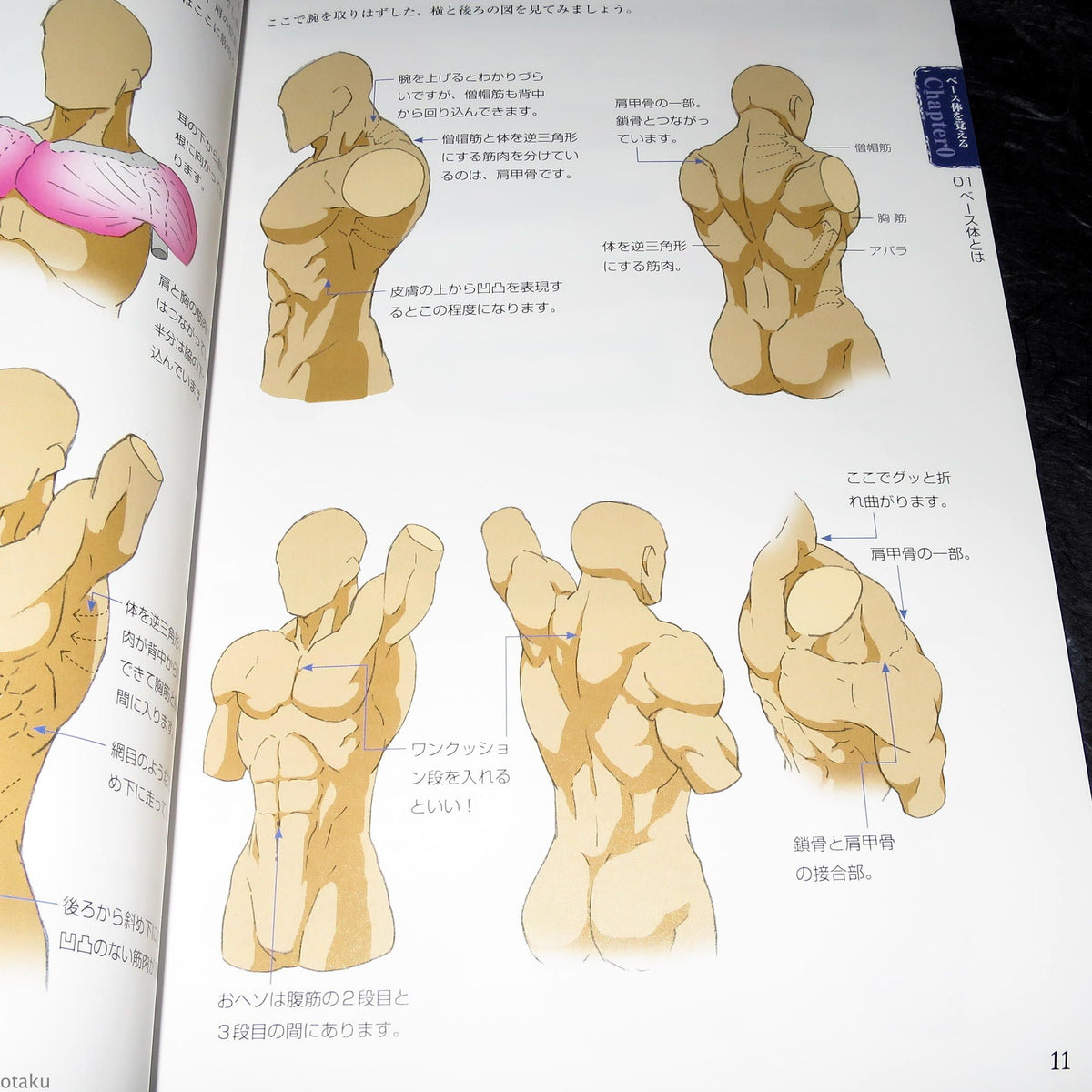 How to Draw Half Human Creatures