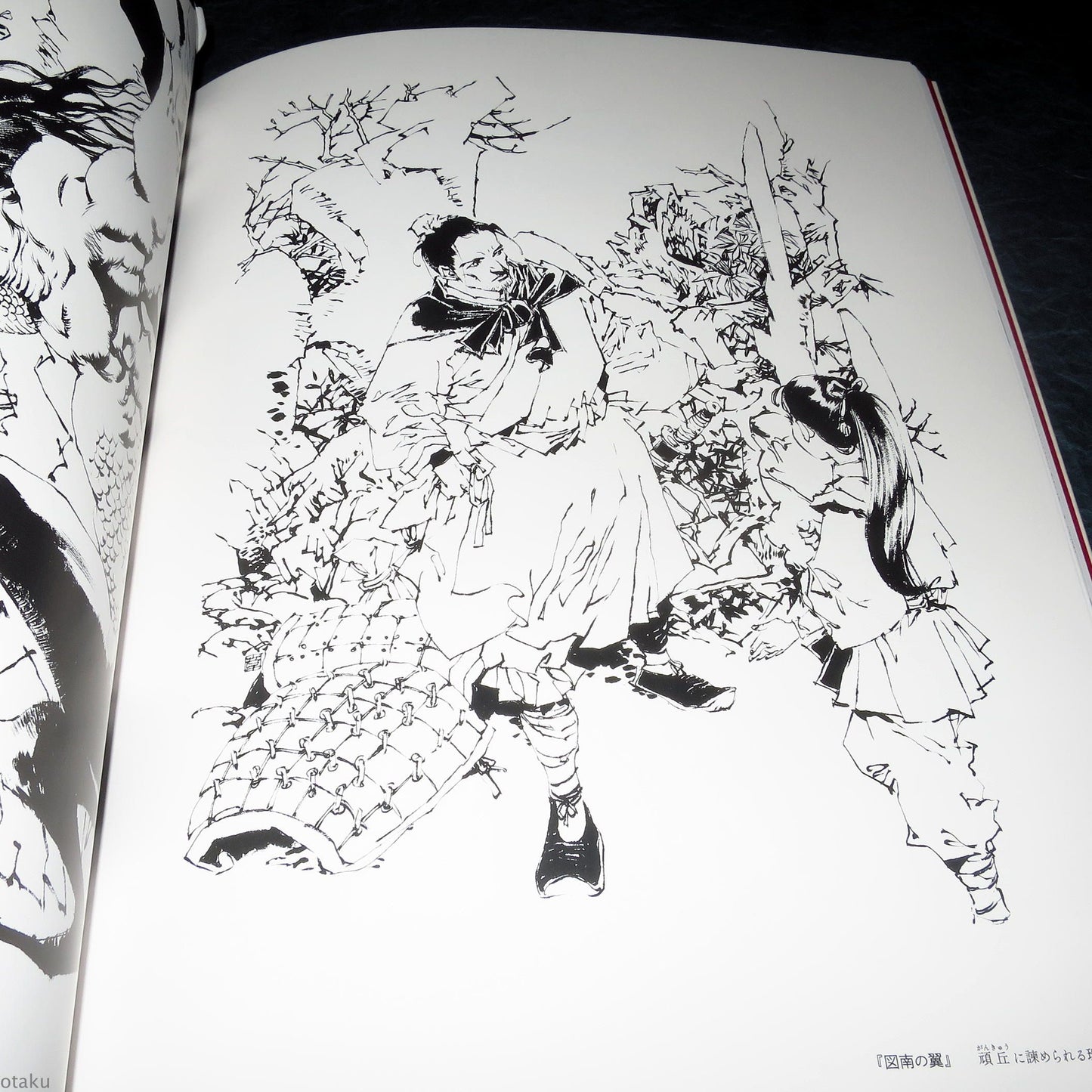 Akihiro Yamada - Kuon no Niwa / Twelve Kingdoms - Art Book