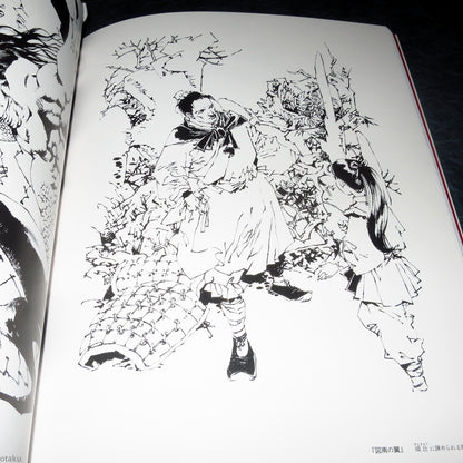 Akihiro Yamada - Kuon no Niwa / Twelve Kingdoms - Art Book